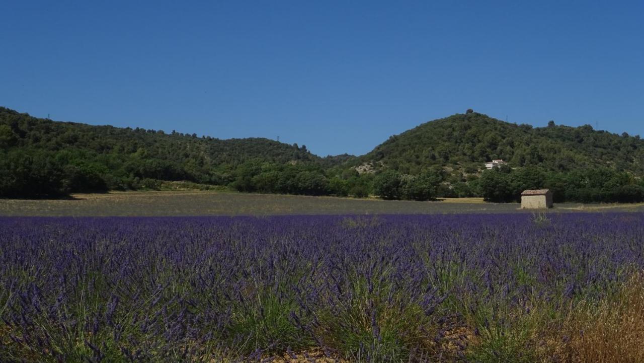 Studio Meuble Cures Thermales Avec Vue Gréoux-les-Bains Εξωτερικό φωτογραφία